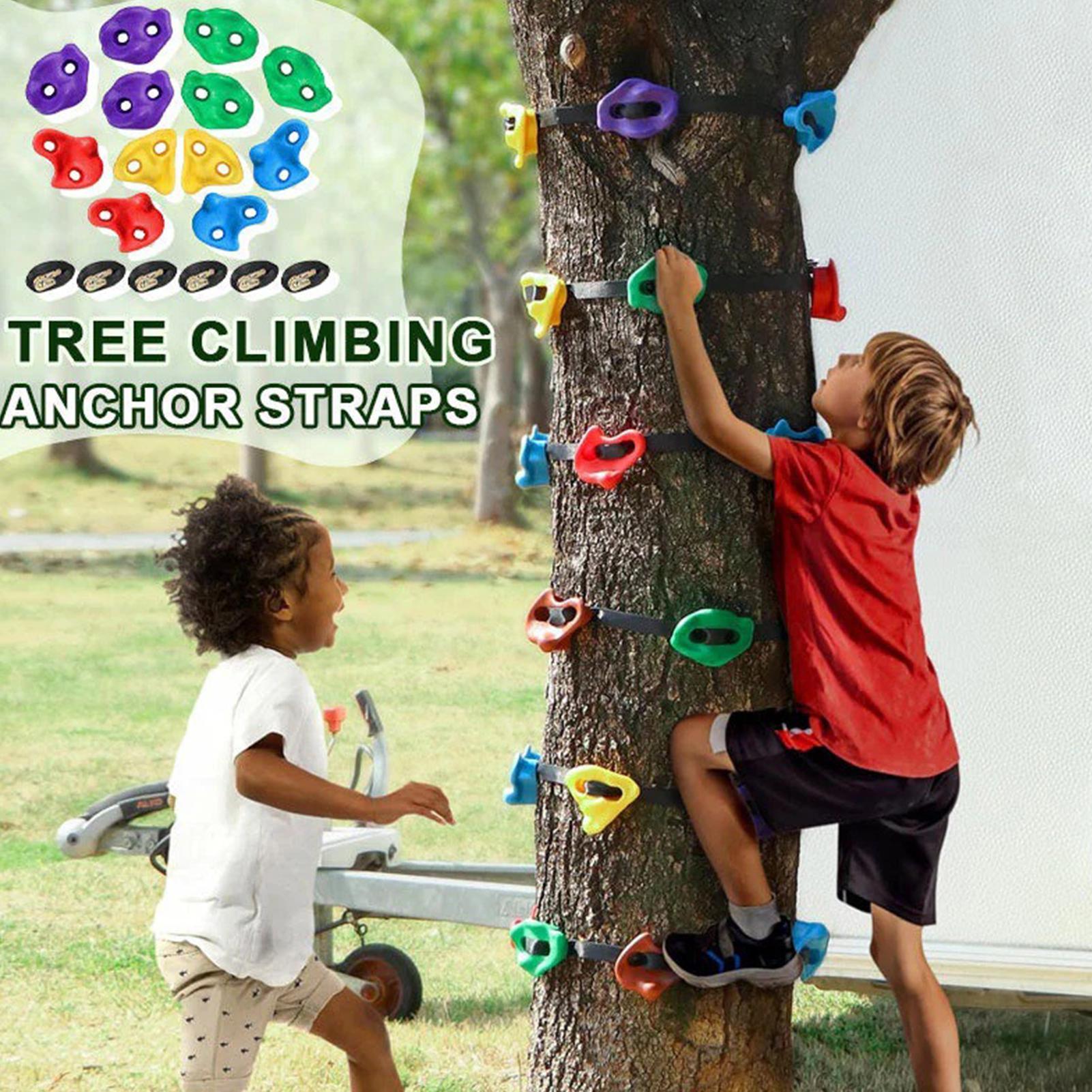 Tree Climbing Equipment Adjust - đánh giá và giá Outdoor Adventure Store