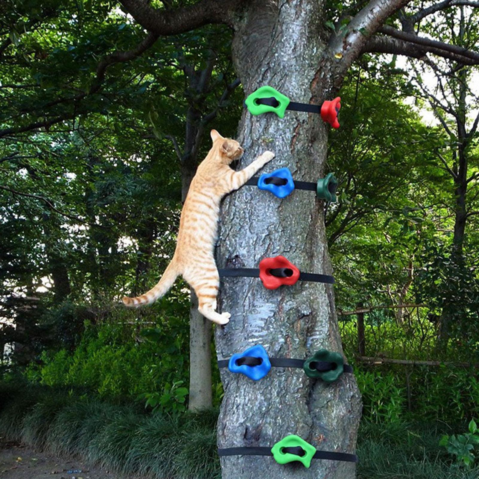 Tree Climbing Equipment Adjust - đánh giá và giá Outdoor Adventure Store
