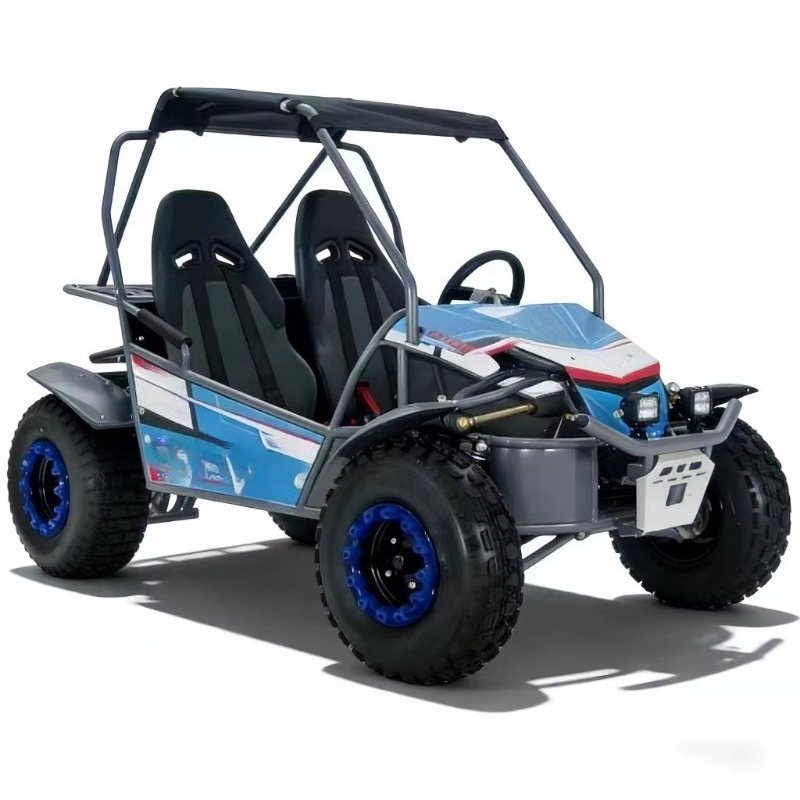 Hot Sale 4 Stroke 2-Seater Gas - đánh giá và giá Outdoor Adventure Utv