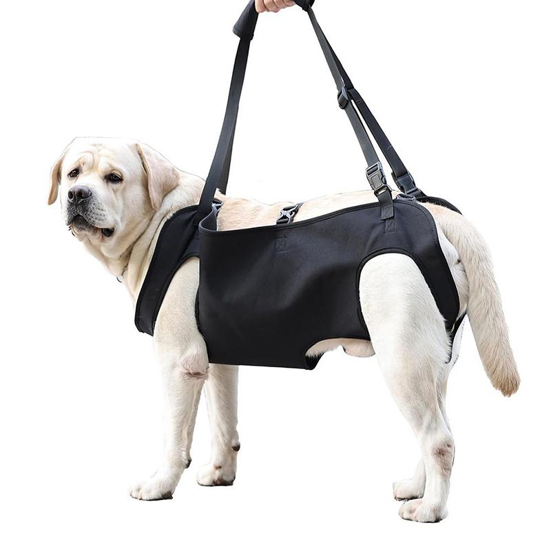 Dog Stair Assistance Leash Eld - đánh giá và giá Harness Climbing Adjustable