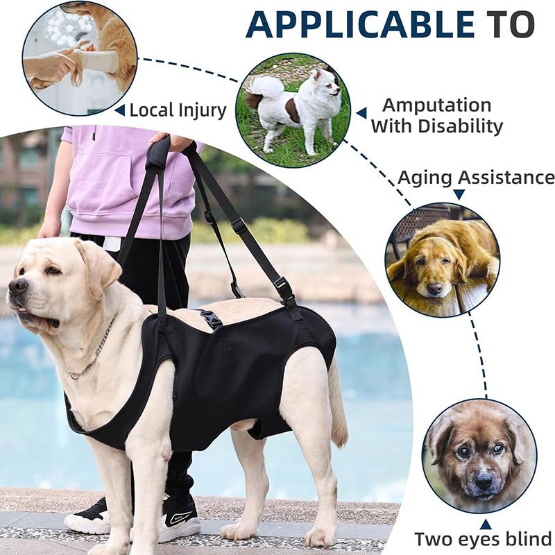 Dog Stair Assistance Leash Eld - đánh giá và giá Harness Climbing Adjustable