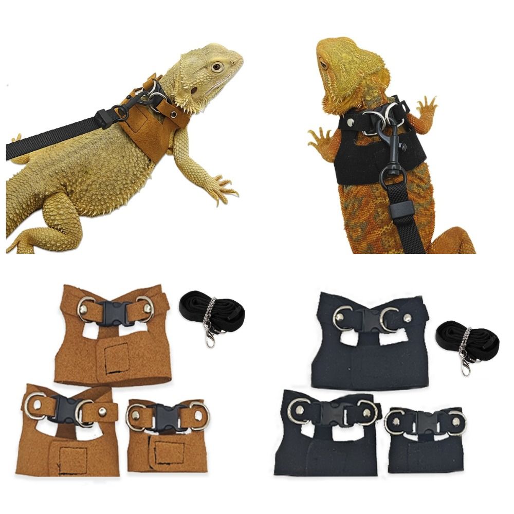Adjustable Rat Harness and Lea - đánh giá và giá Harness Climbing Adjustable