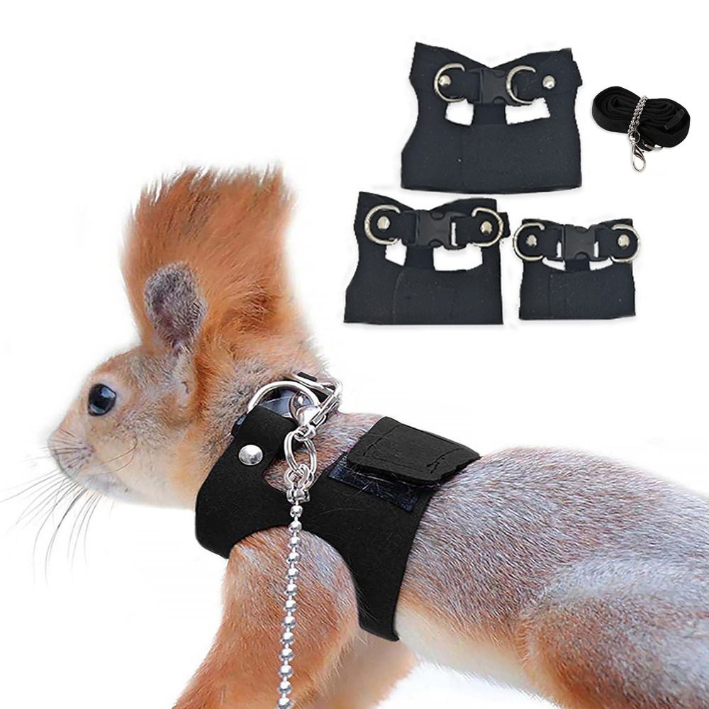 Adjustable Rat Harness and Lea - đánh giá và giá Harness Climbing Adjustable